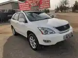 Lexus RX series, 2009-4