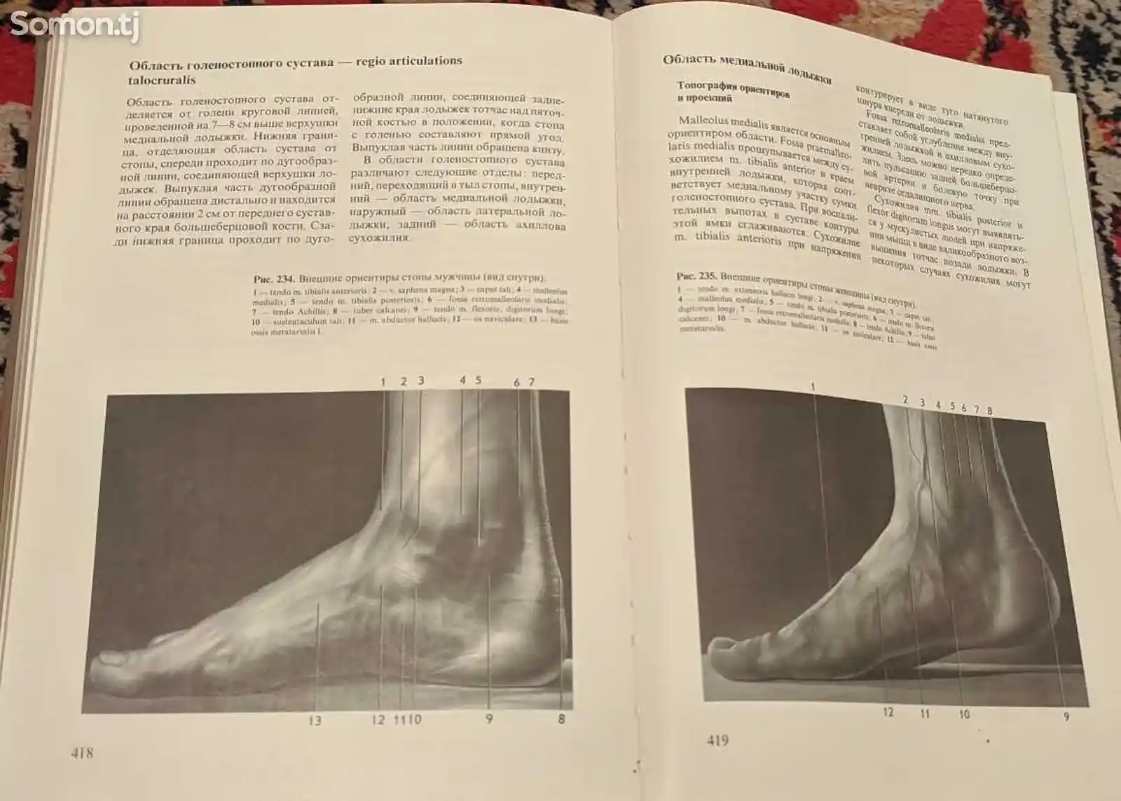 Книга Хирургическая анатомия конечностей человека-6