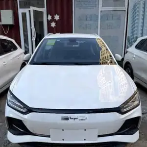 BYD E2, 2024