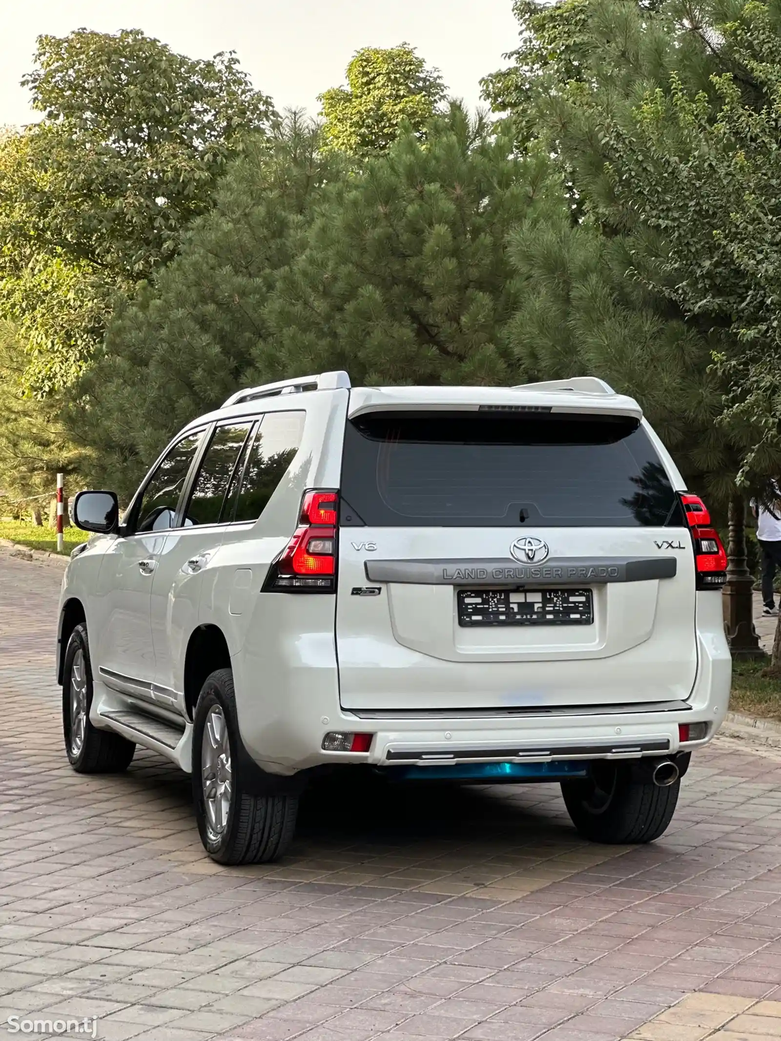 Toyota Land Cruiser Prado, 2010-3