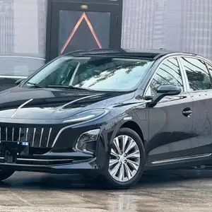 Hongqi E-QM5, 2024