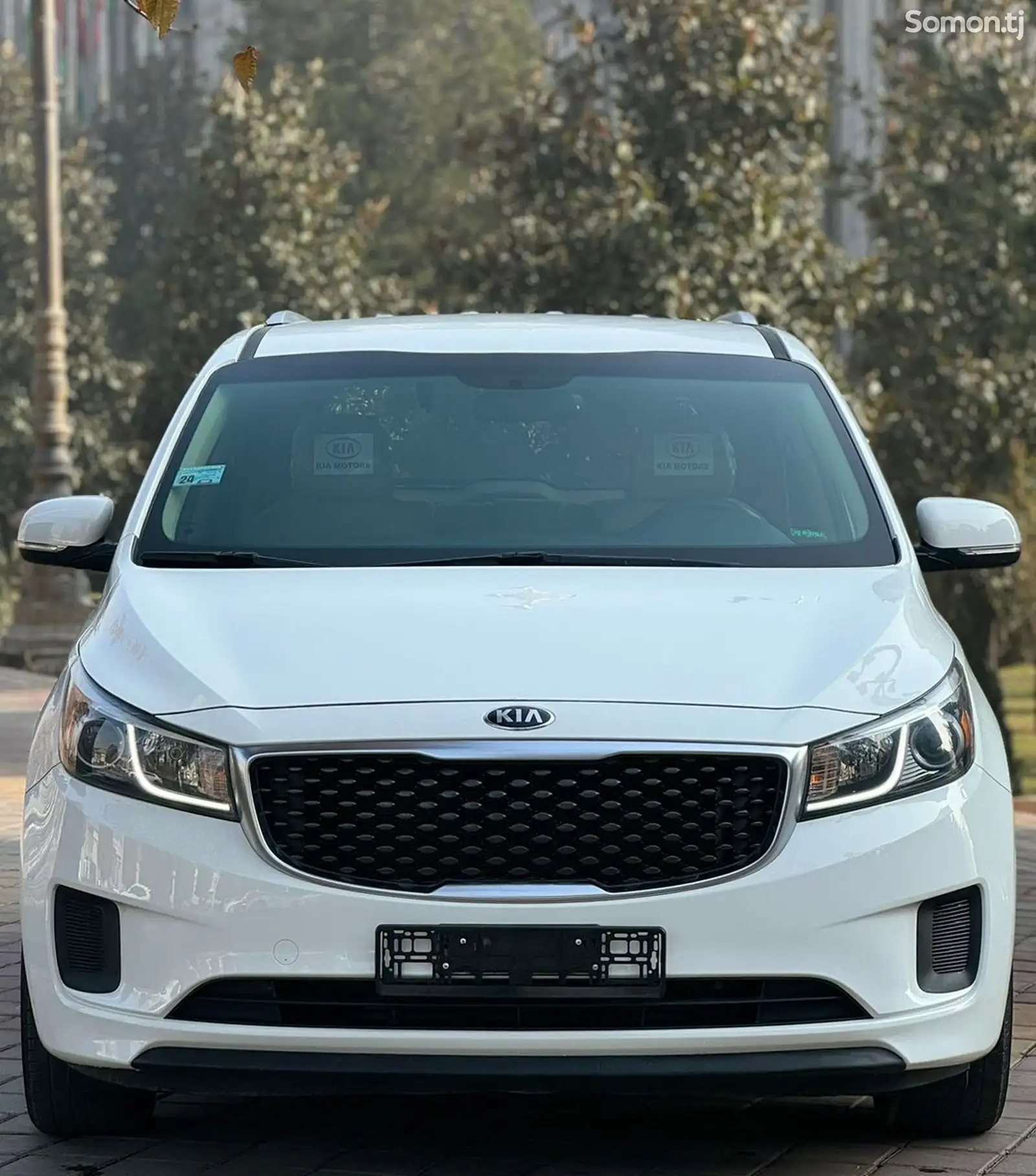 Kia Sedona, 2015-1