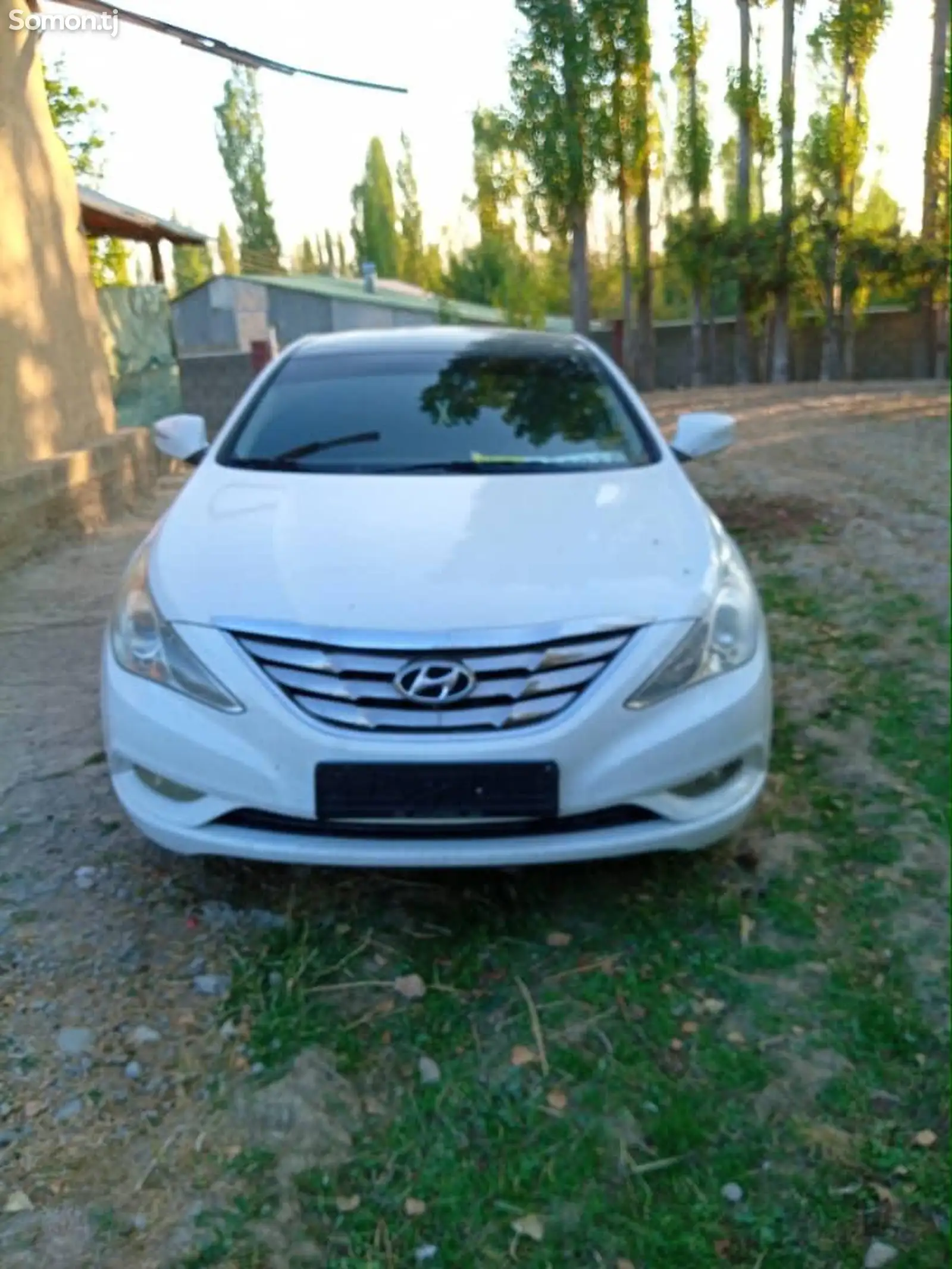 Hyundai Sonata, 2010-1