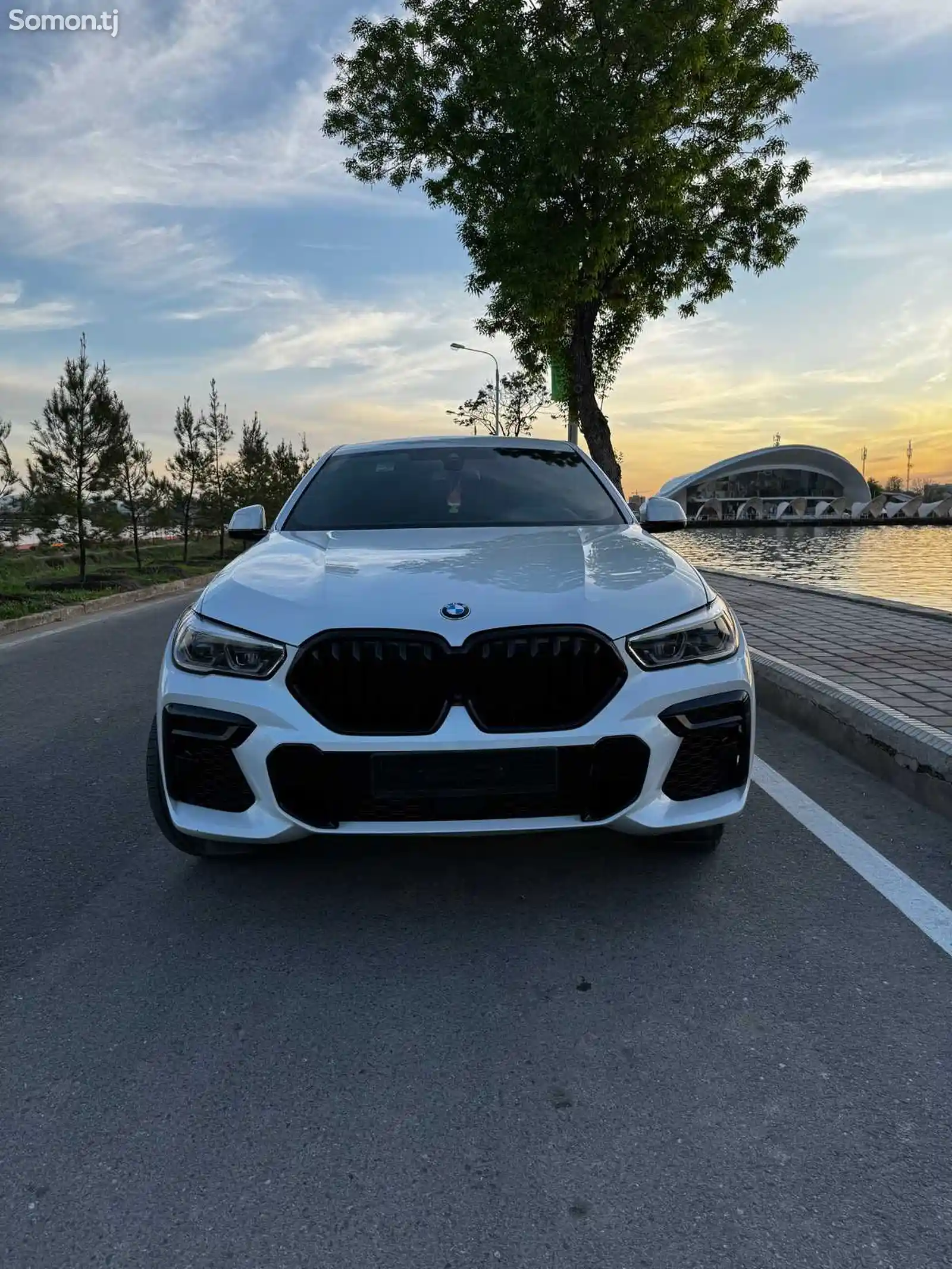 BMW X6 M, 2022-1