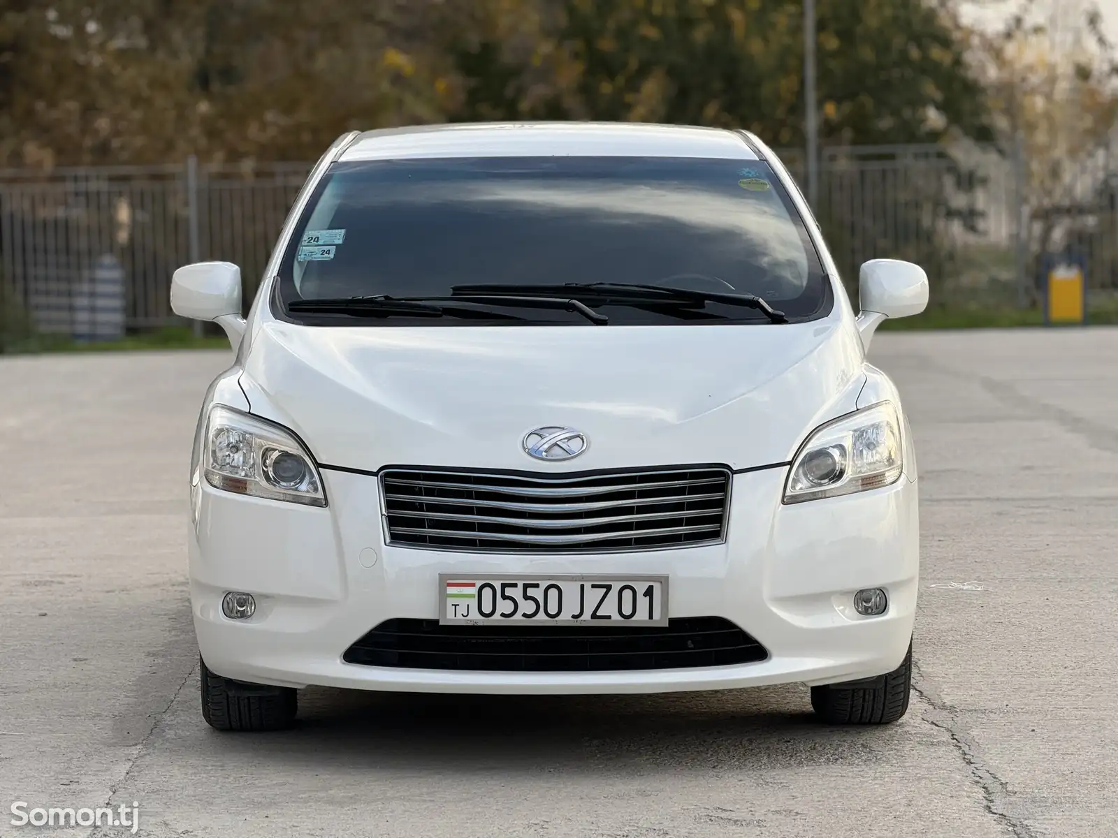 Toyota Mark X ZiO, 2010-1