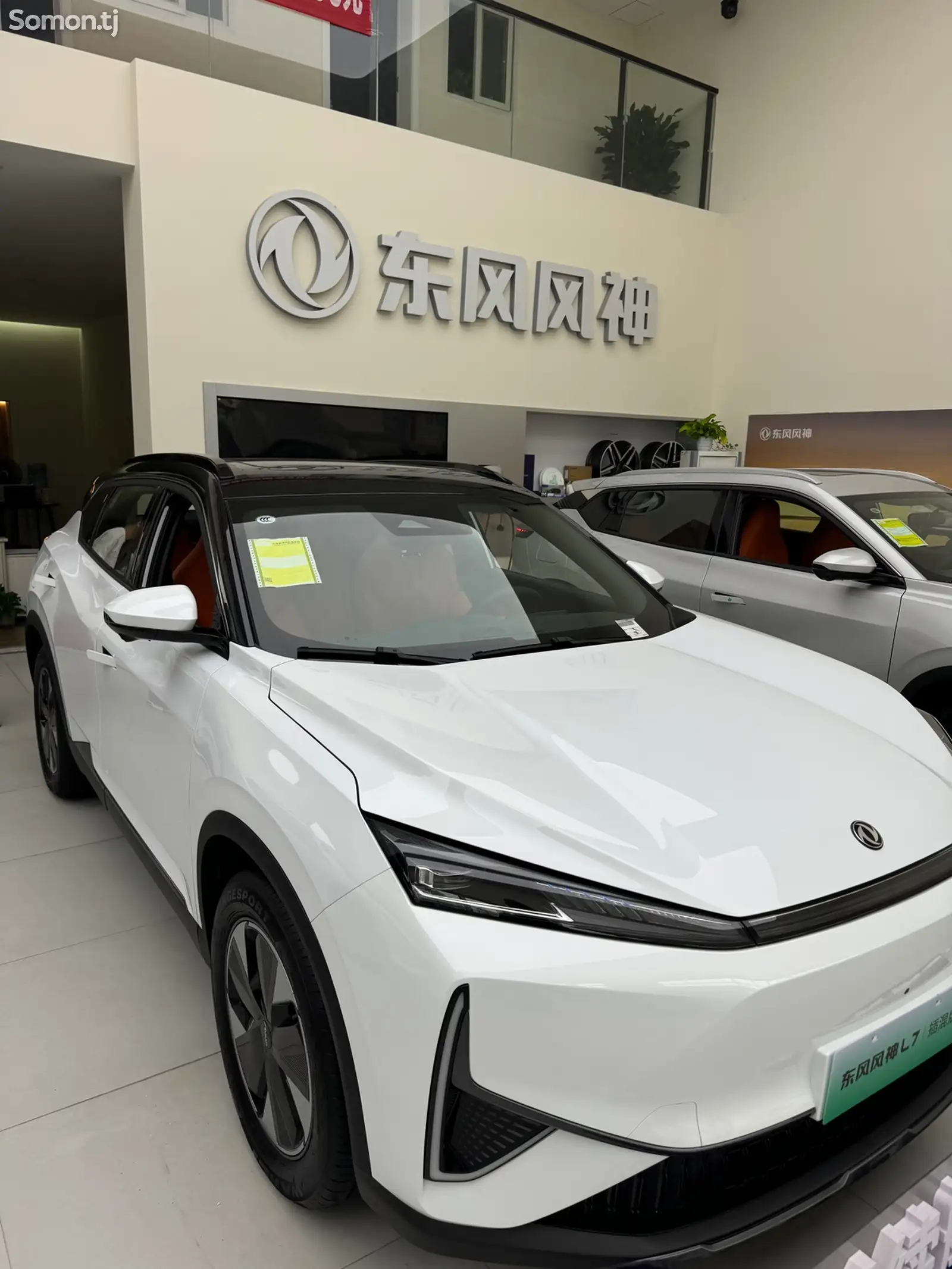 Dongfeng Landian E5, 2024-4