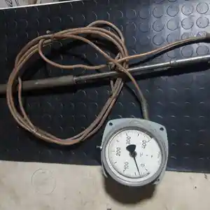 Термометр газовый показывающий 100Эк