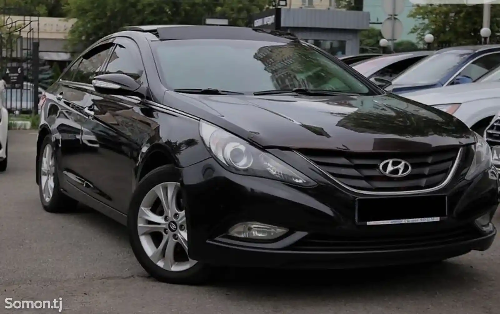 Hyundai Sonata, 2010-3