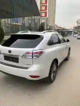 Lexus RX series, 2010-5