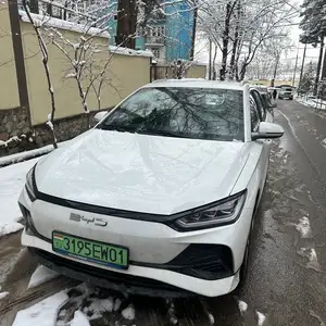 BYD E2, 2024