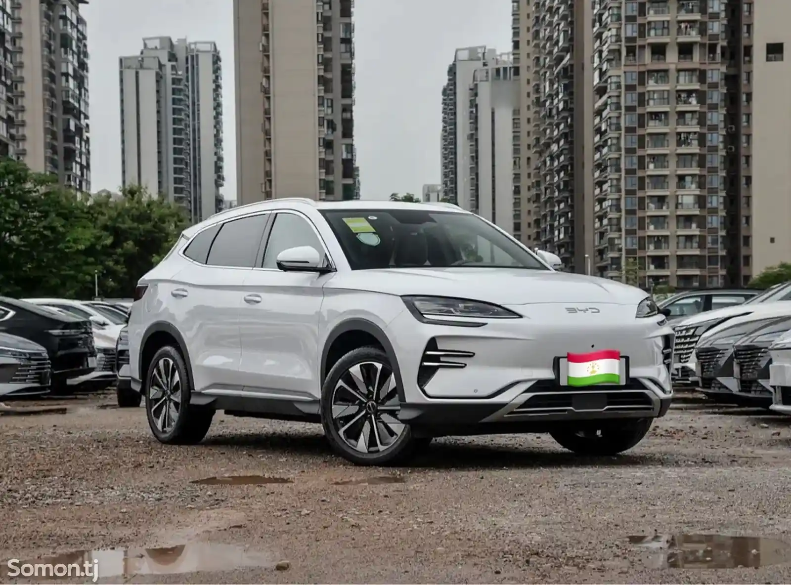 BYD Song Plus Flagship, 2024-8