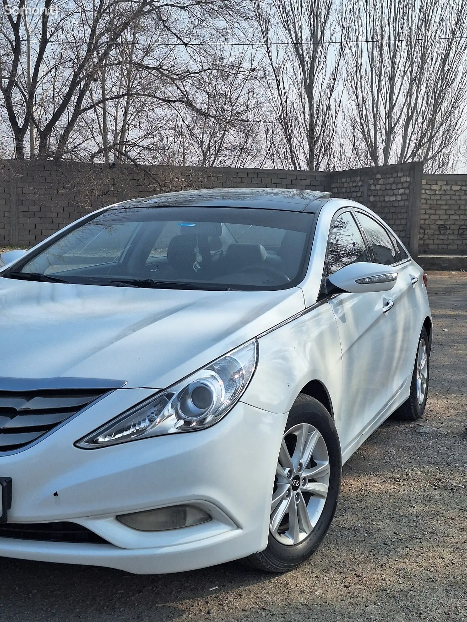 Hyundai Sonata, 2010-1