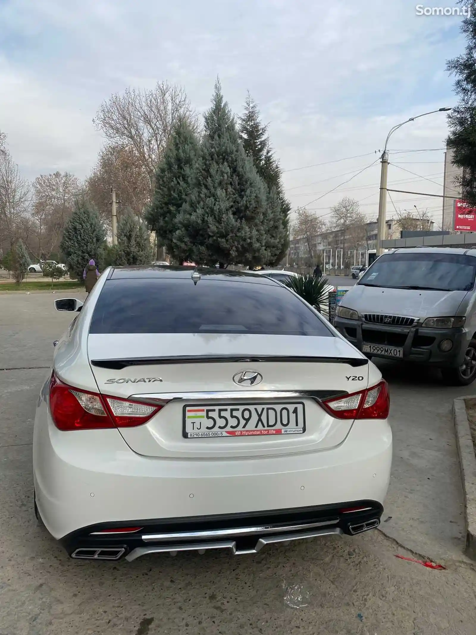 Спойлер для Hyundai Sonata-2