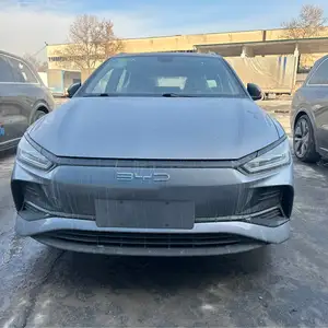 BYD E2, 2024