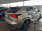 Lexus NX series, 2022-10