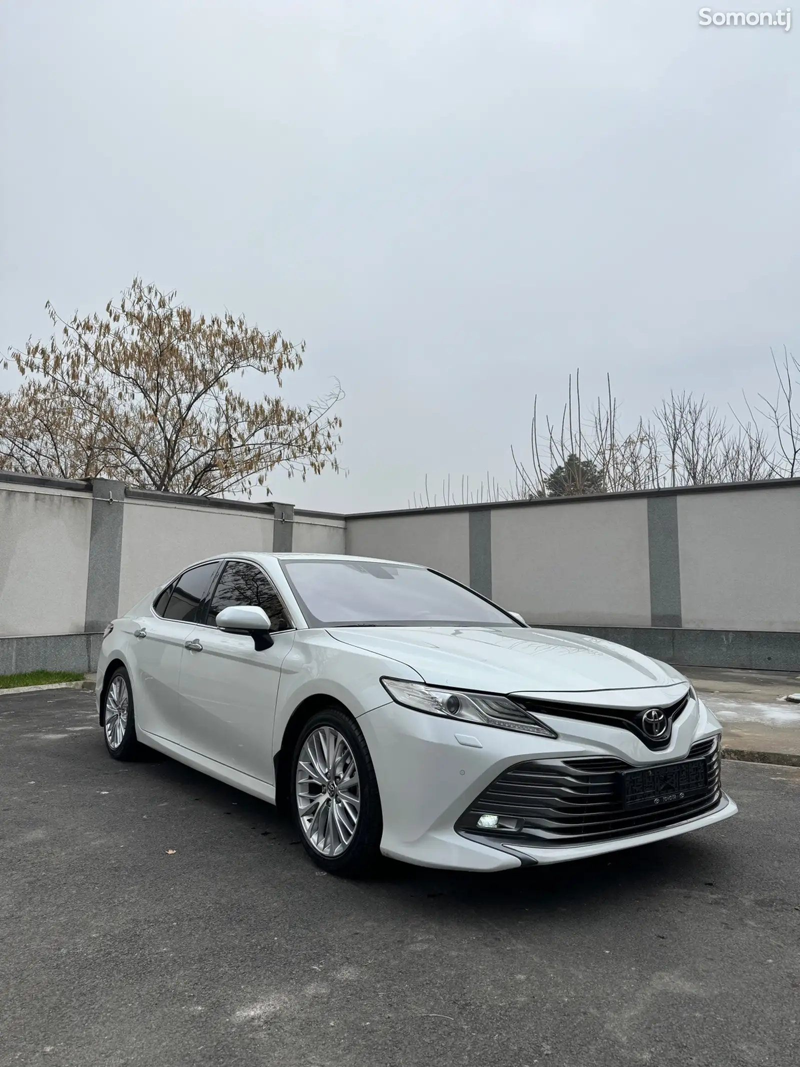 Toyota Camry, 2019-1