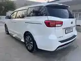 Kia Carnival, 2015-5