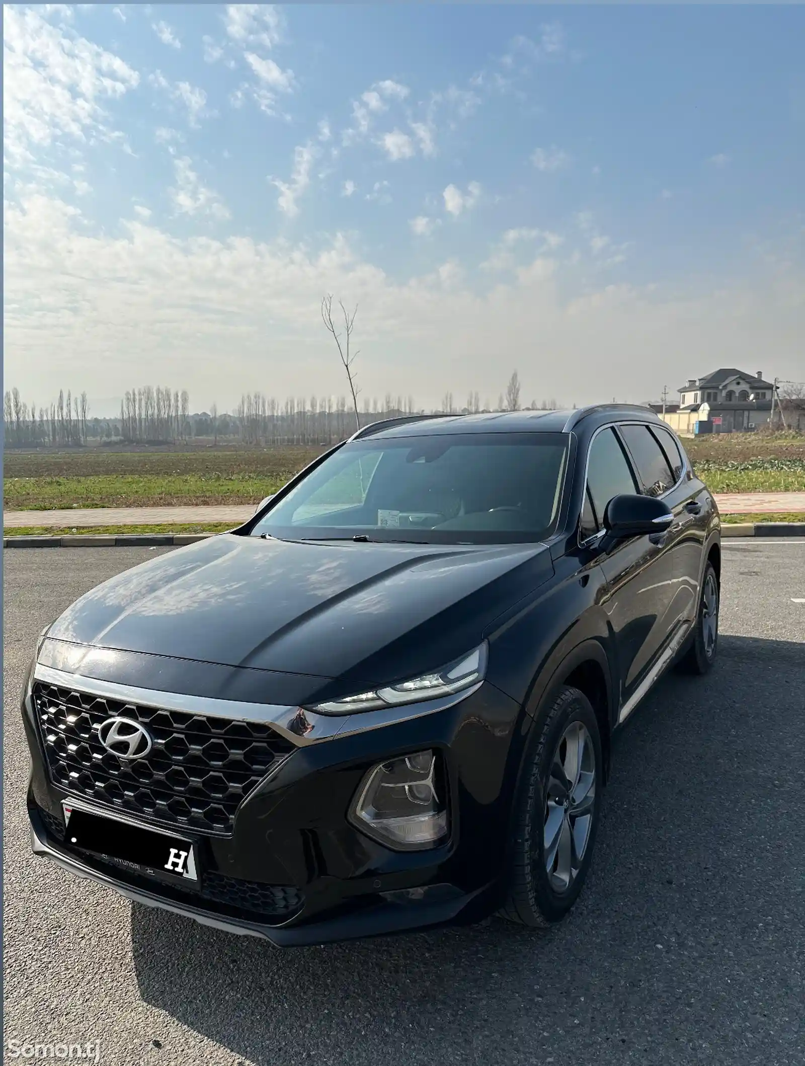 Hyundai Santa Fe, 2020-3