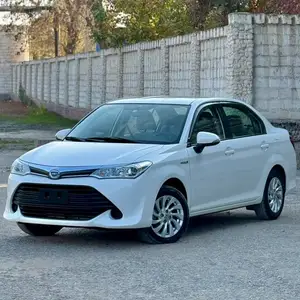 Toyota Axio, 2016