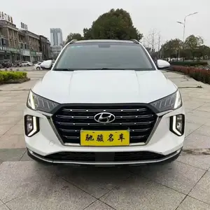 Hyundai Tuscani, 2020