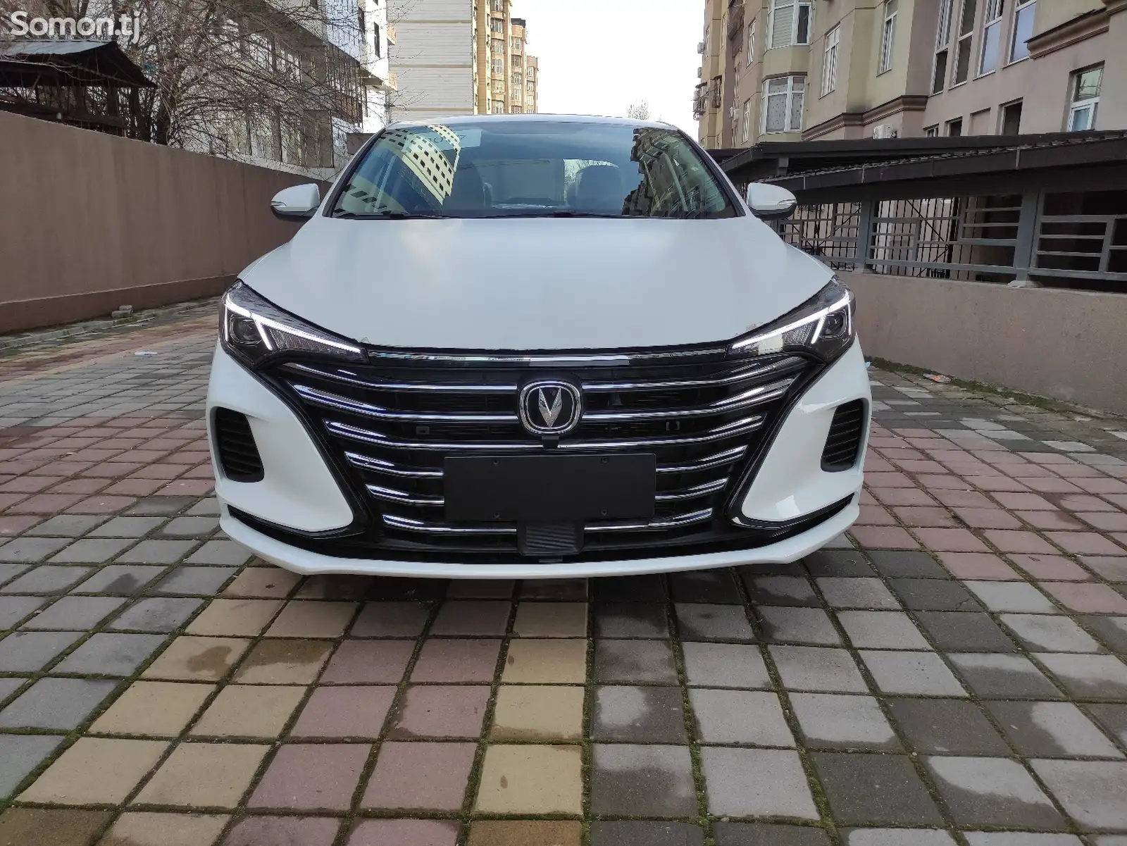 Changan Eado, 2025-1