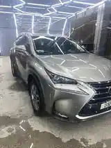 Lexus NX series, 2016-2