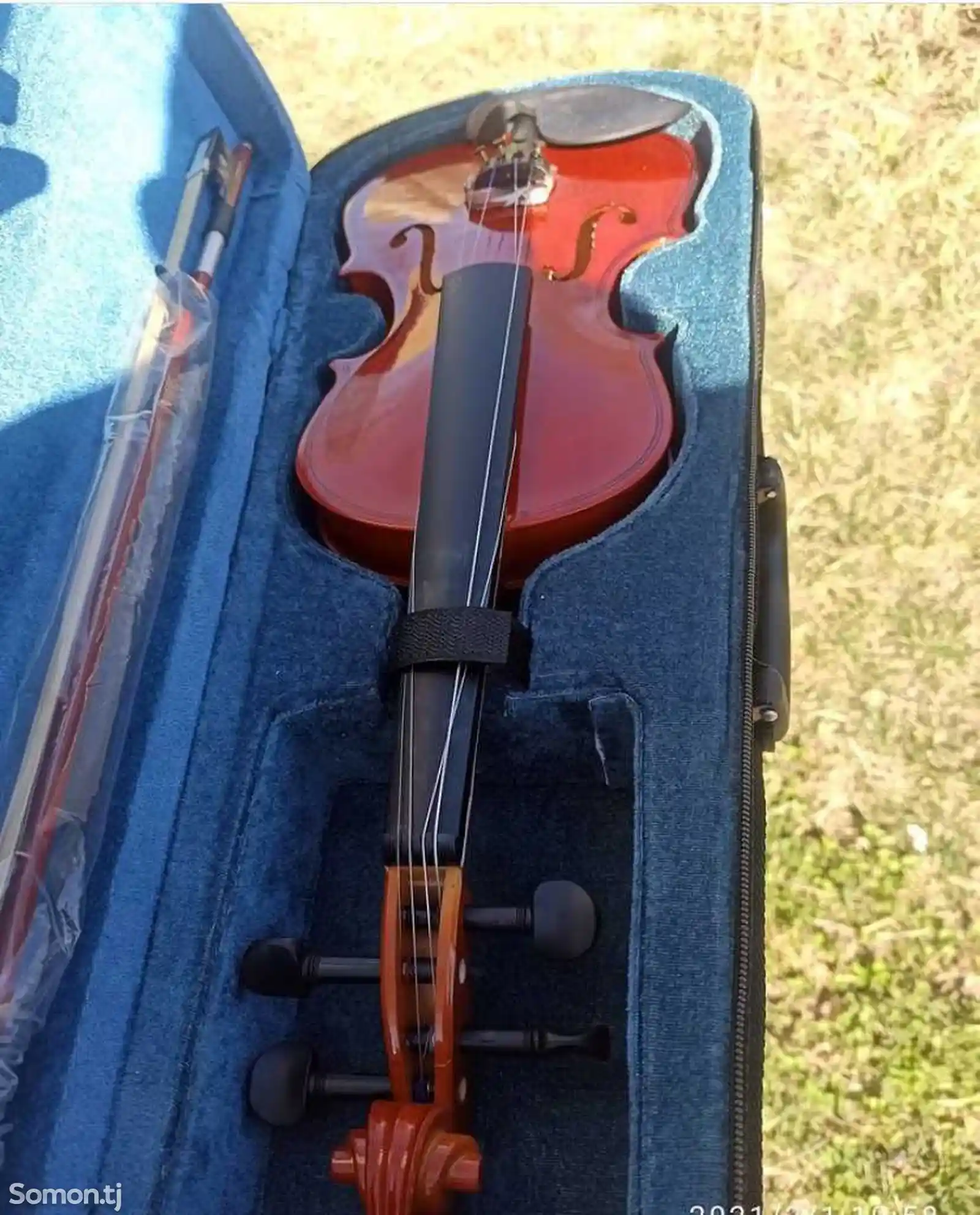 Скрипка-5