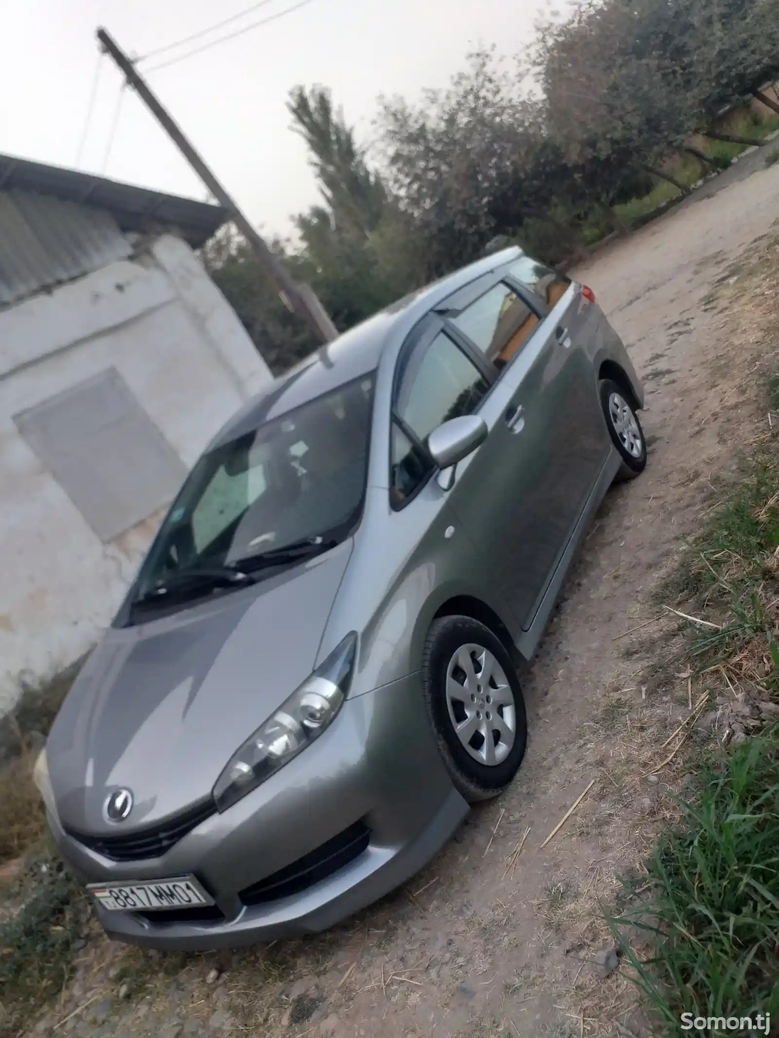 Toyota Wish, 2010-1