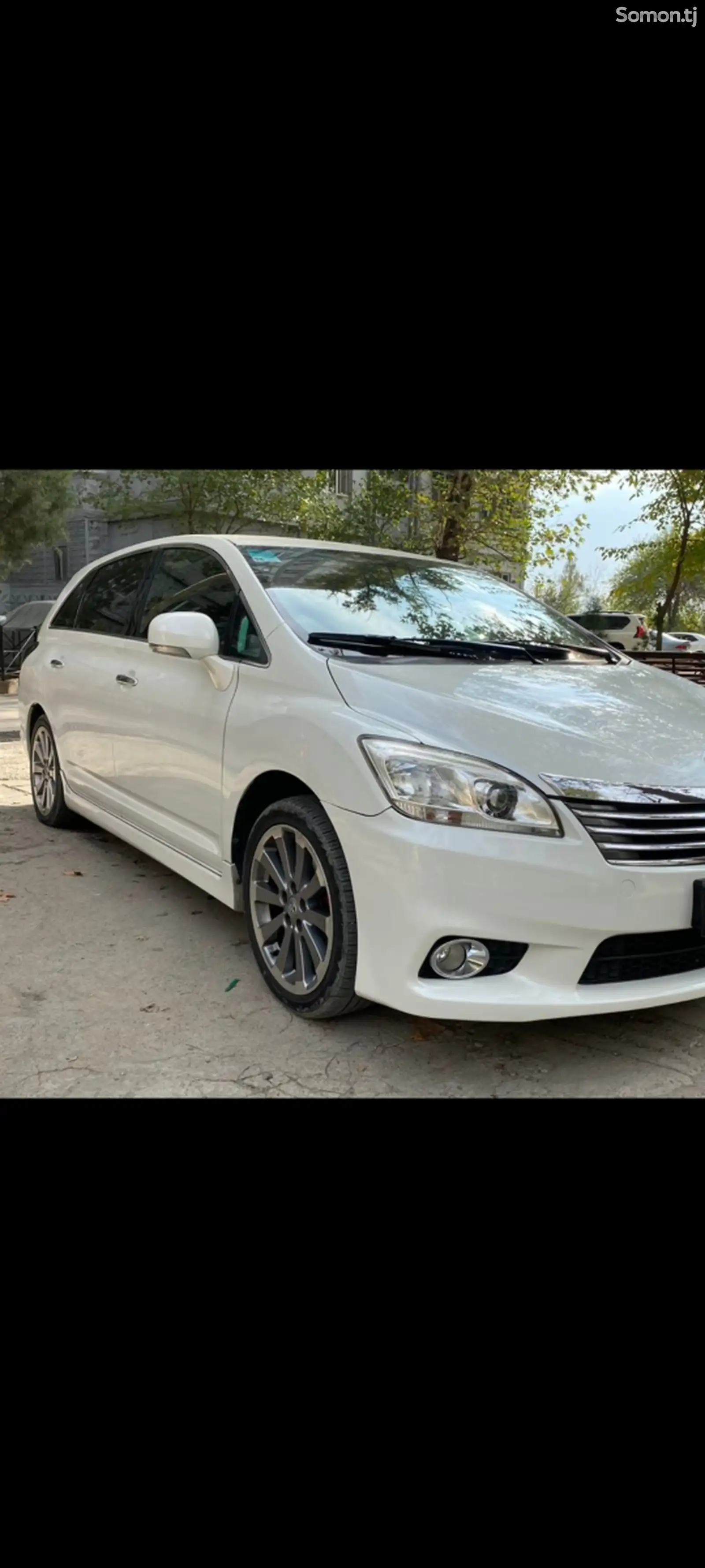 Toyota Mark X ZiO, 2011-1