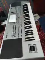 Синтезатор KORG pa80-2