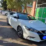 Nissan Maxima, 2018-6