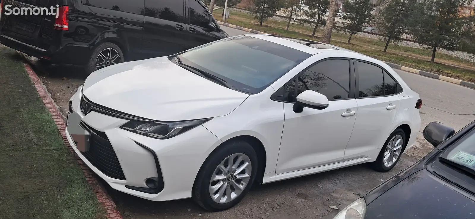 Toyota Corolla, 2023-1