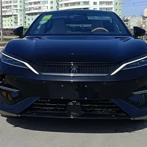 BYD Другие модели, 2024