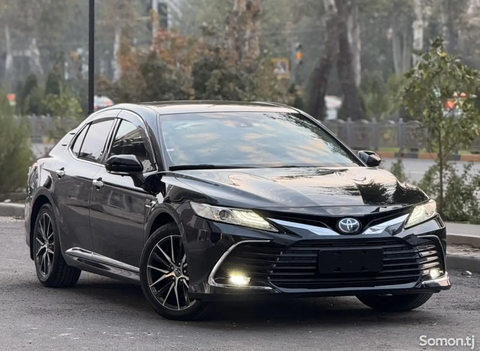 Toyota Camry, 2019-1