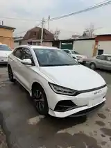 BYD E2, 2024 на заказ-2