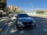 BMW 5 series, 2017-4