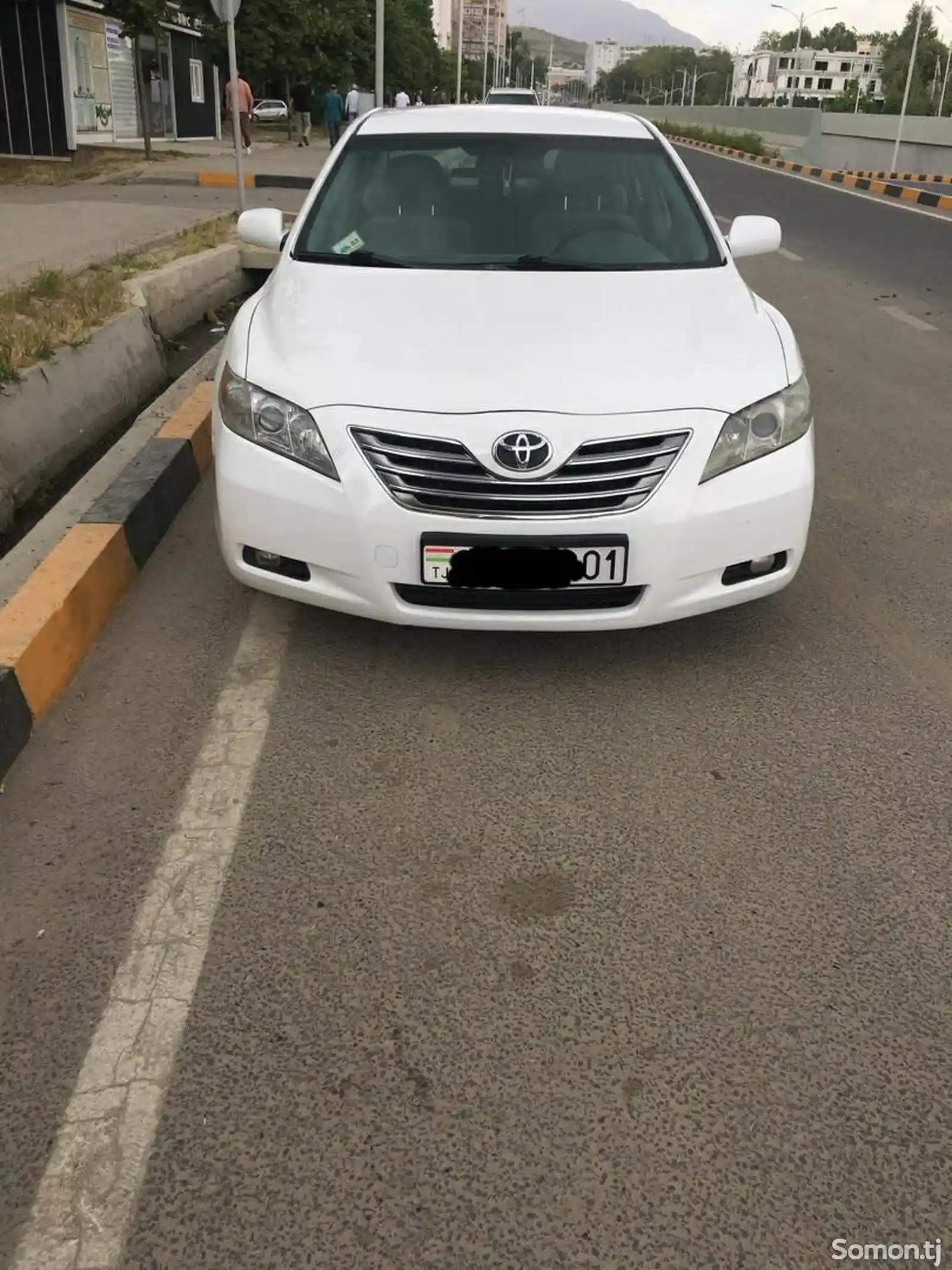 Toyota Camry, 2010-1