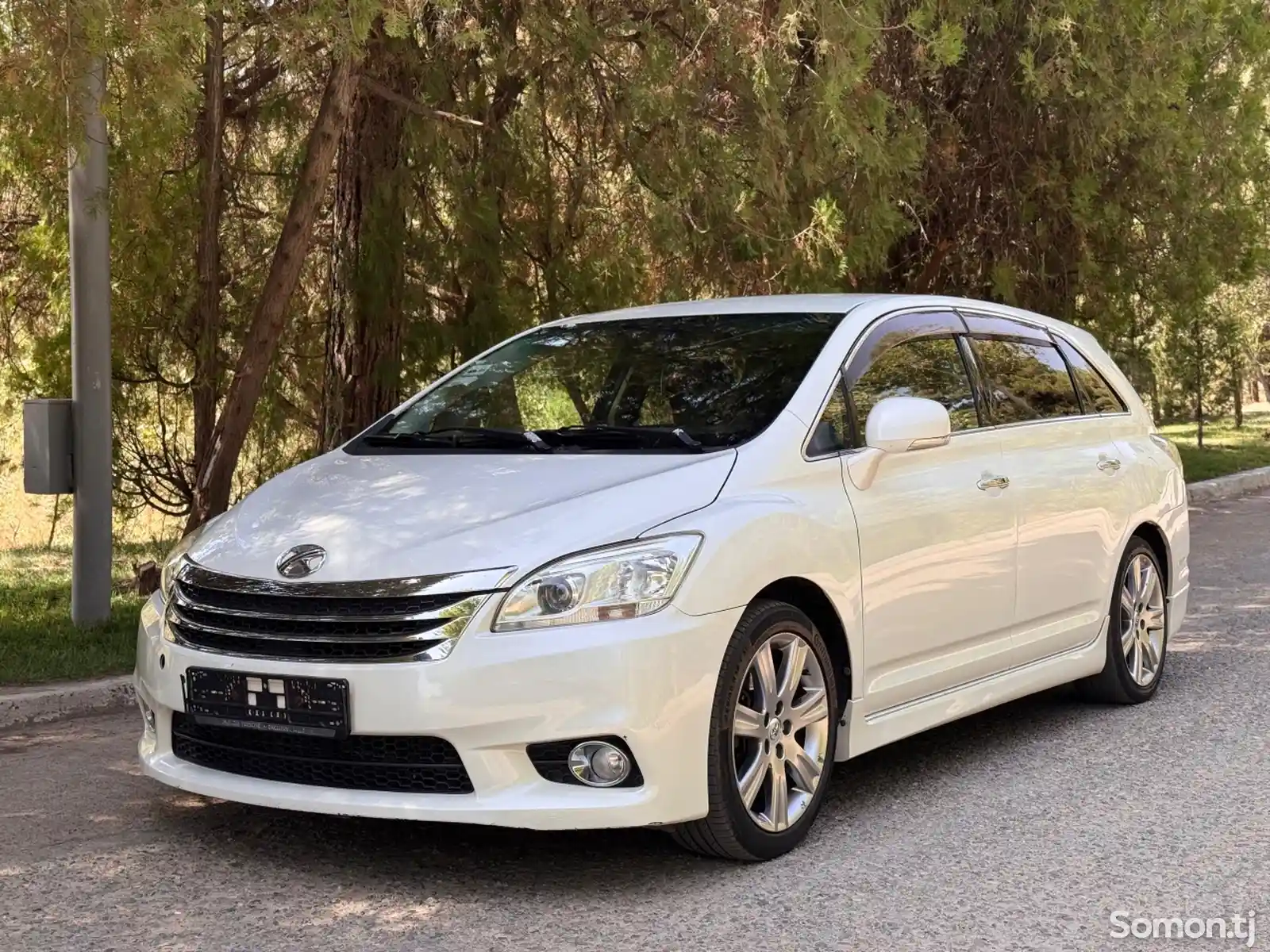 Toyota Mark X ZiO, 2009-6