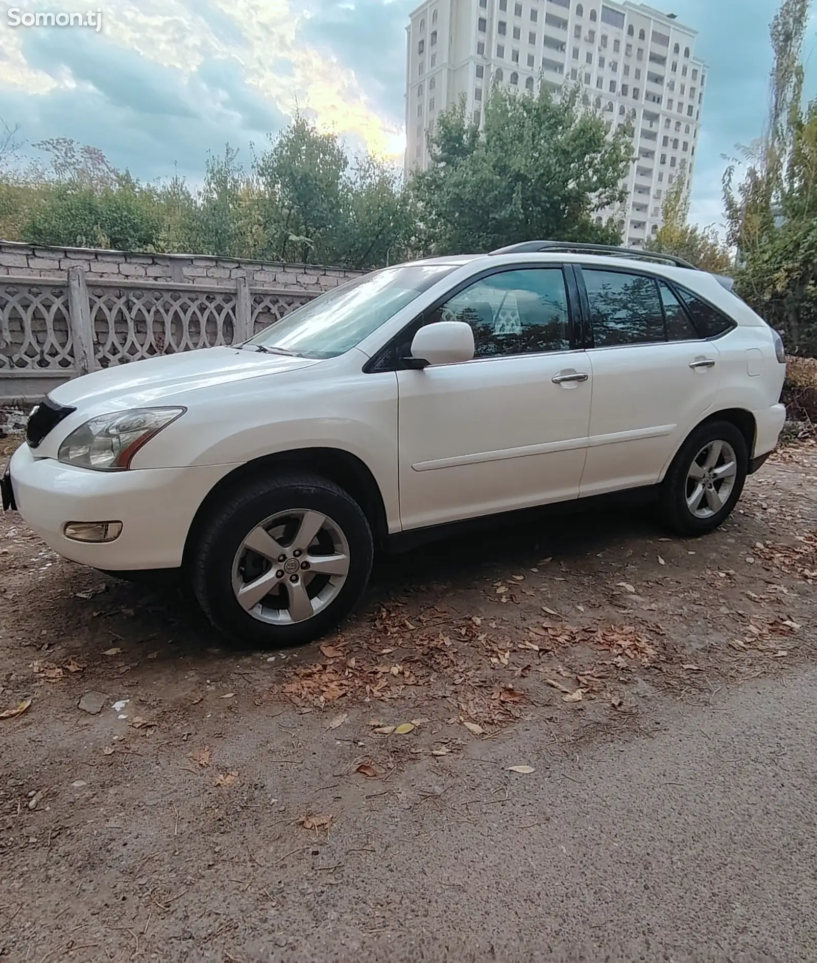 Lexus RX series, 2006-1