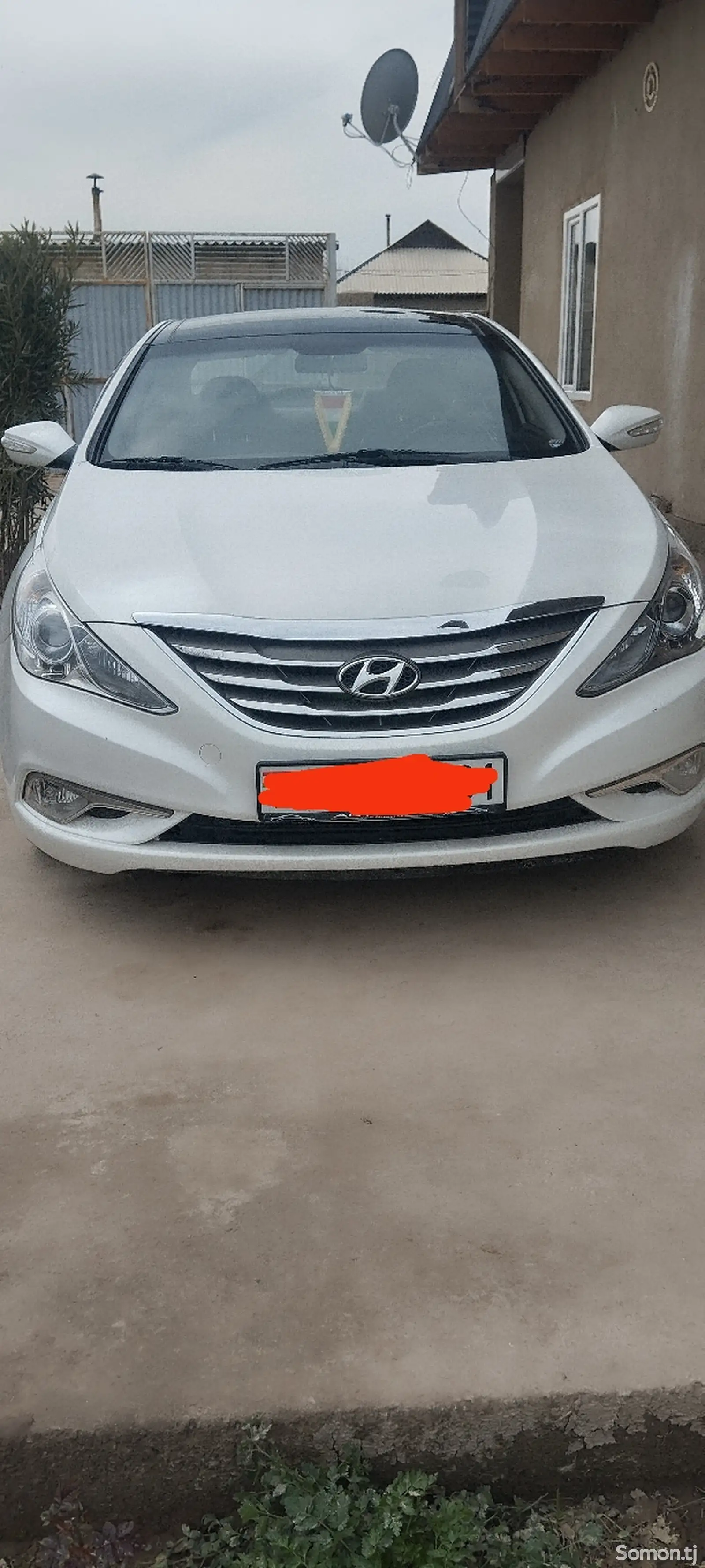 Hyundai Sonata, 2010-1