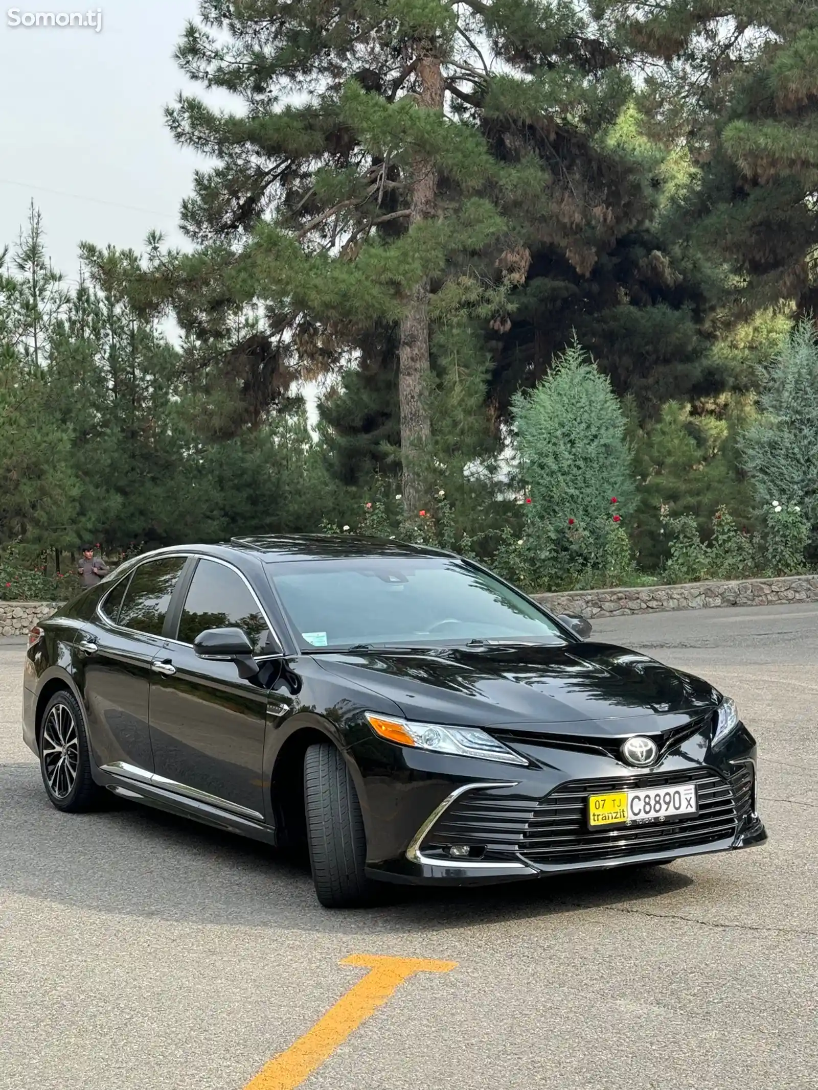 Toyota Camry, 2019-2