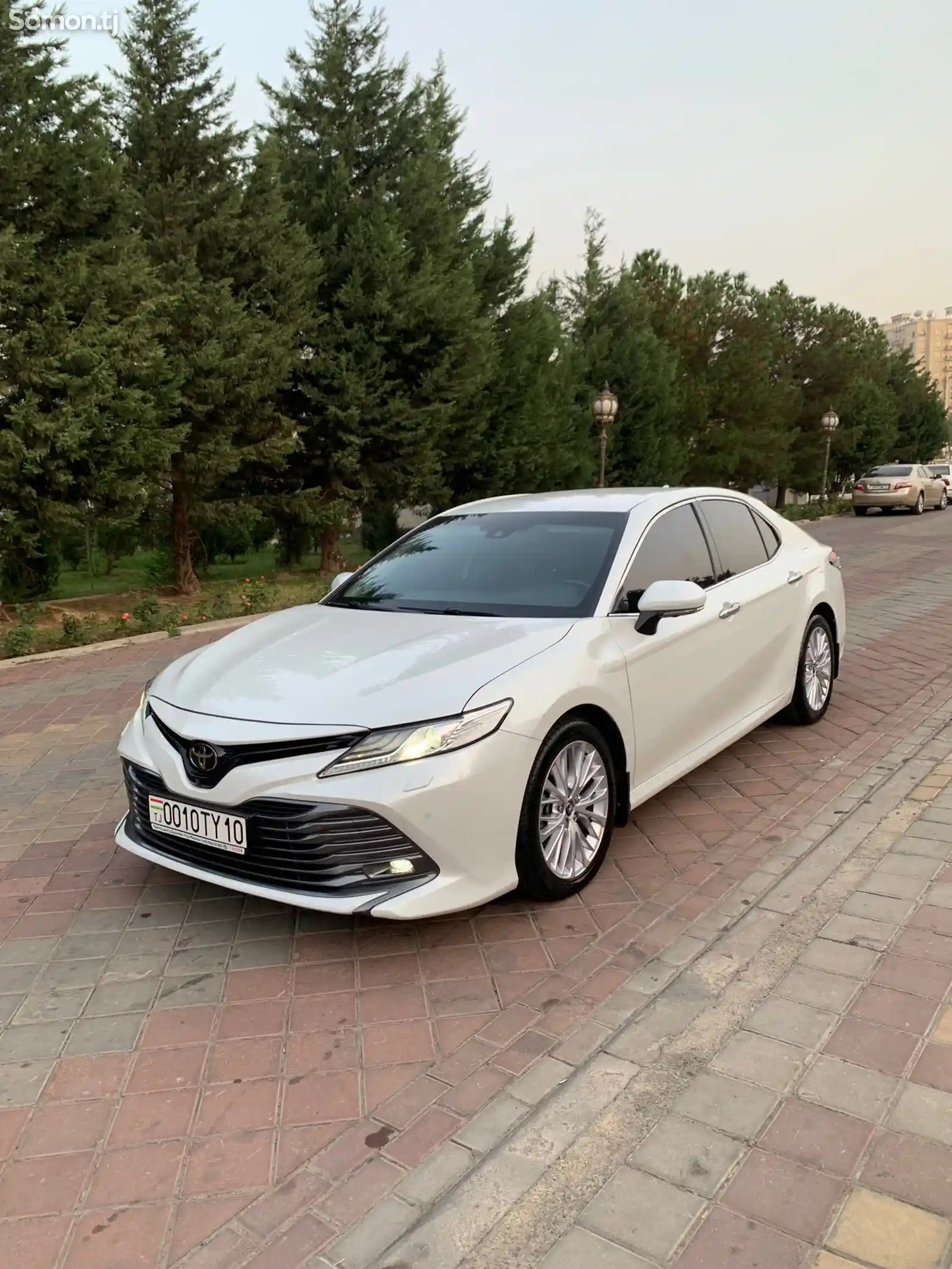 Toyota Camry, 2019-3