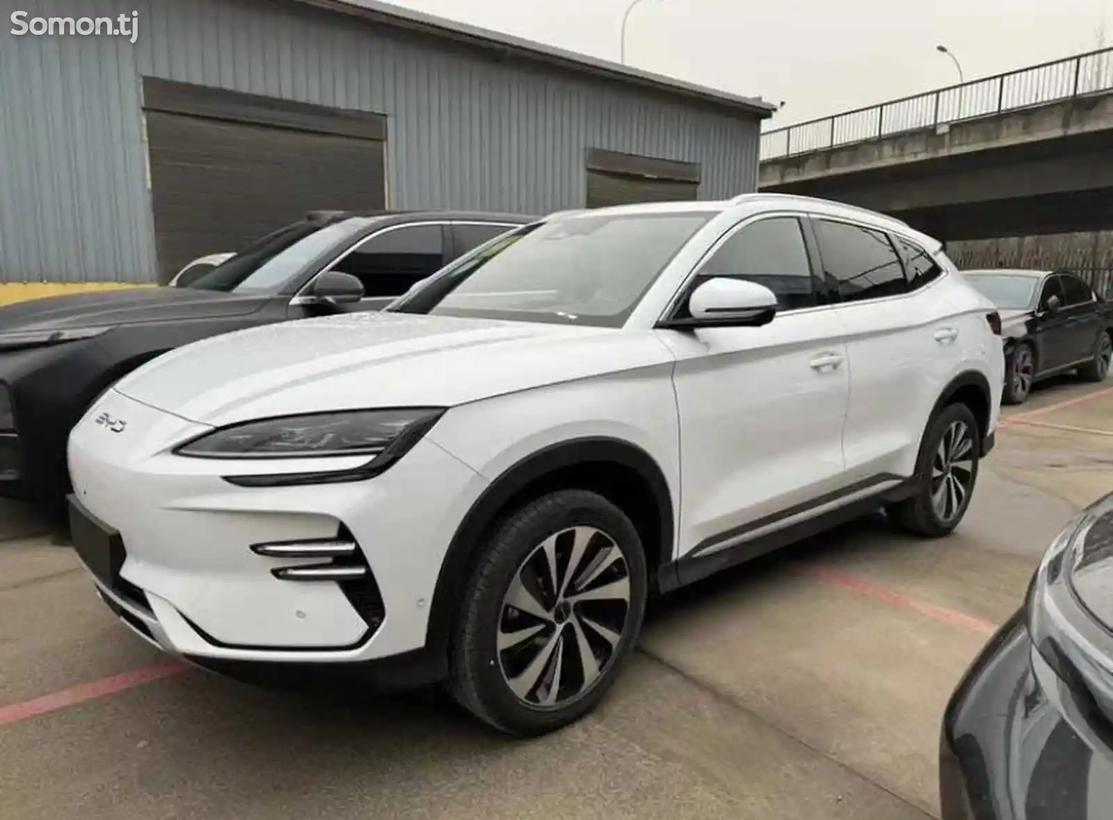 BYD Song Plus Flagship, 2024-1