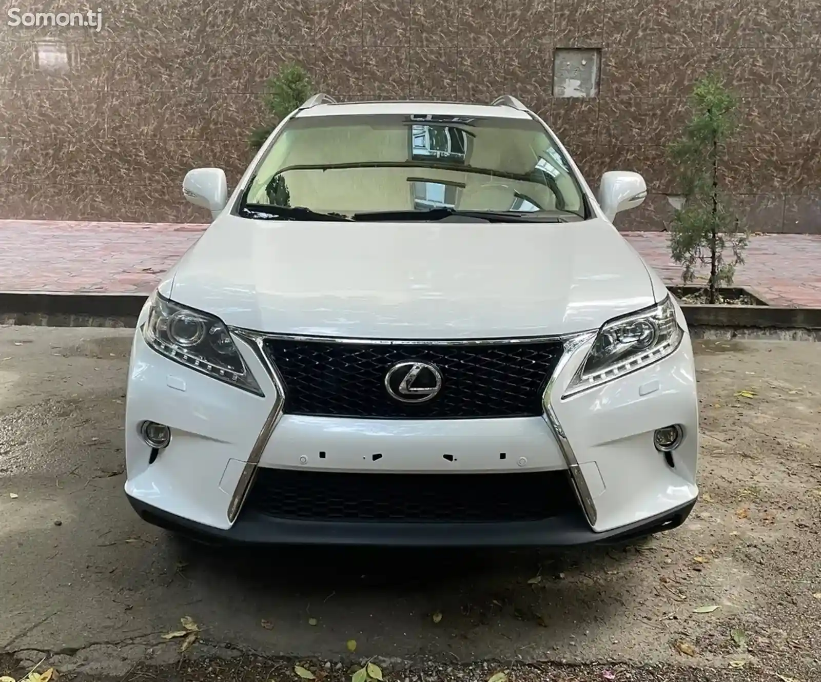 Передний знак на Lexus RX350-5