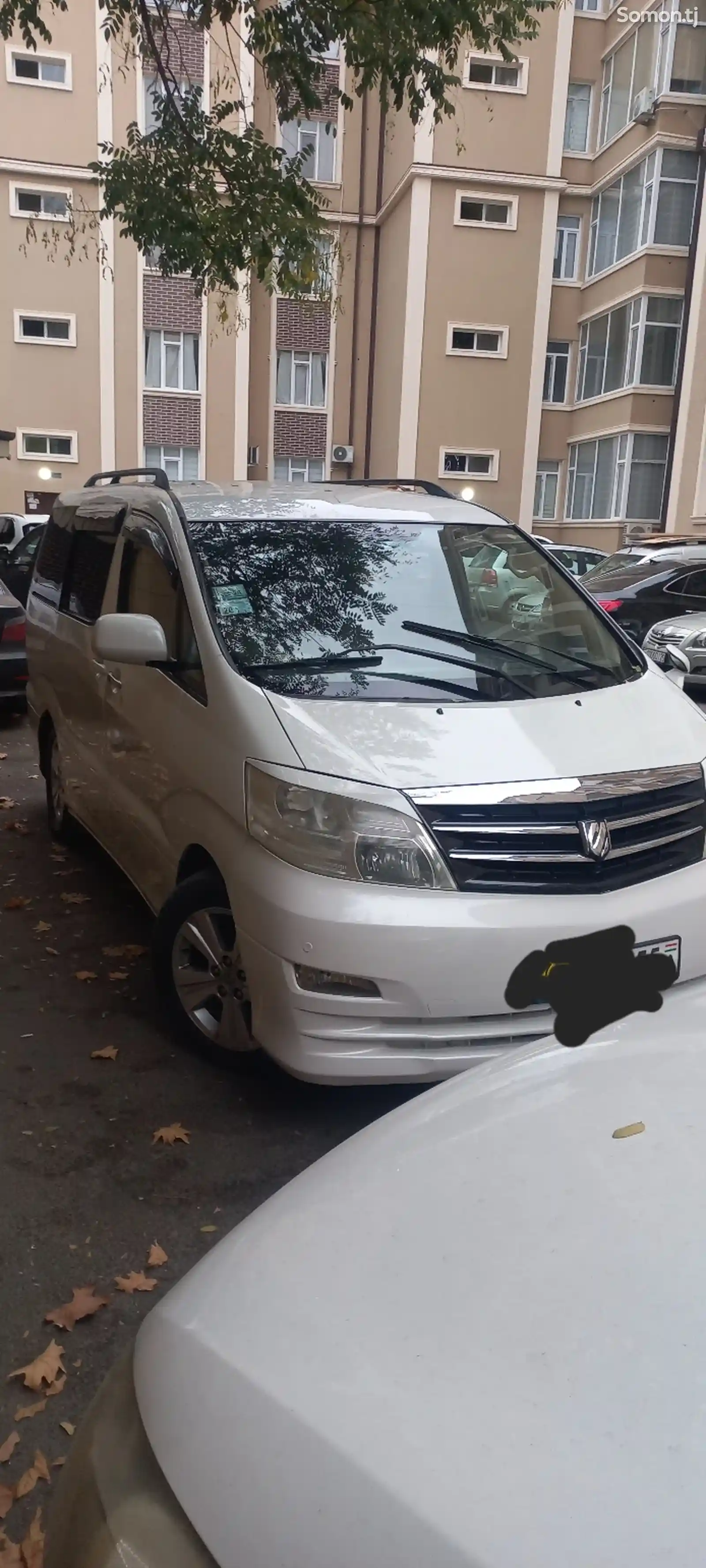 Toyota Alphard, 2007-1