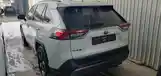 Toyota RAV 4, 2019-2