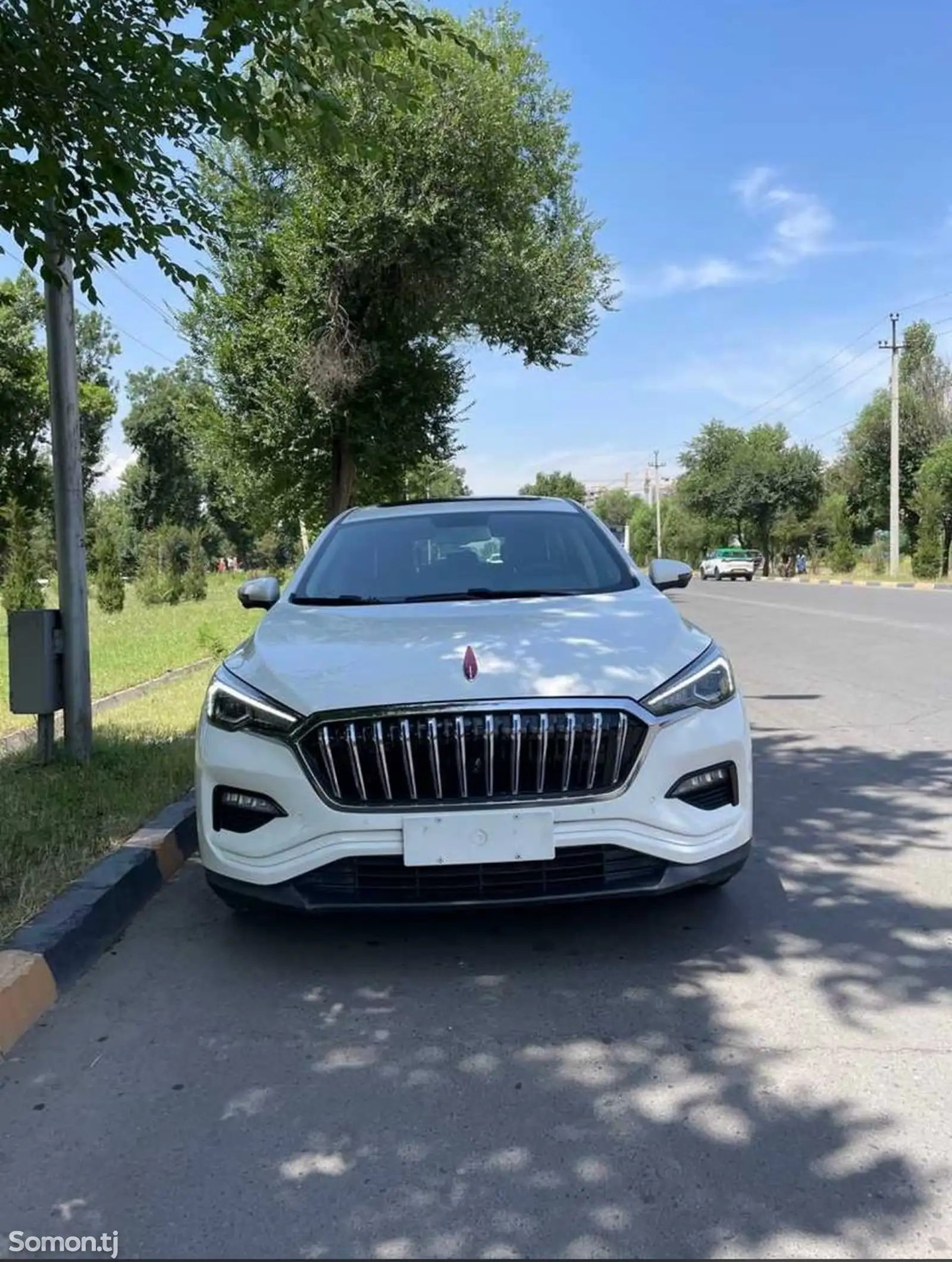 Hongqi HS3, 2019-1