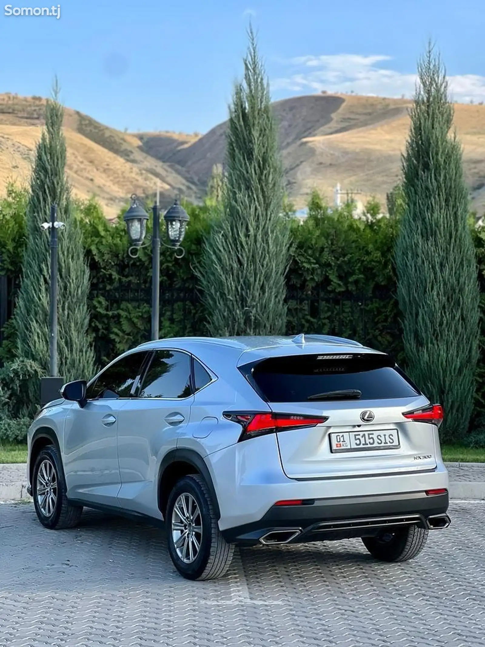 Lexus NX series, 2018-2