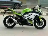 Kawasaki Ninja 400rr на заказ-4