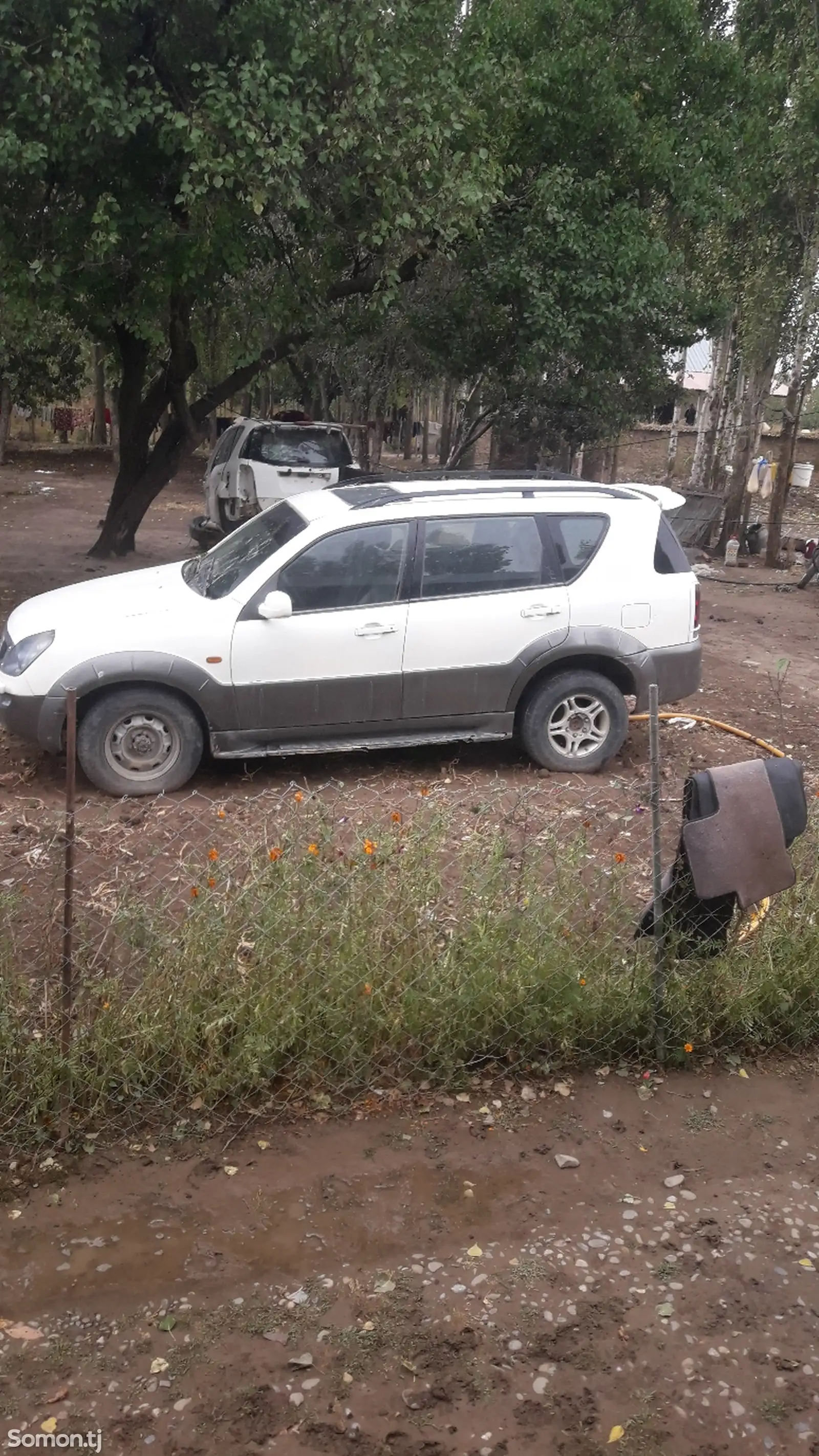 Ssang Yong Rexton, 2007-6